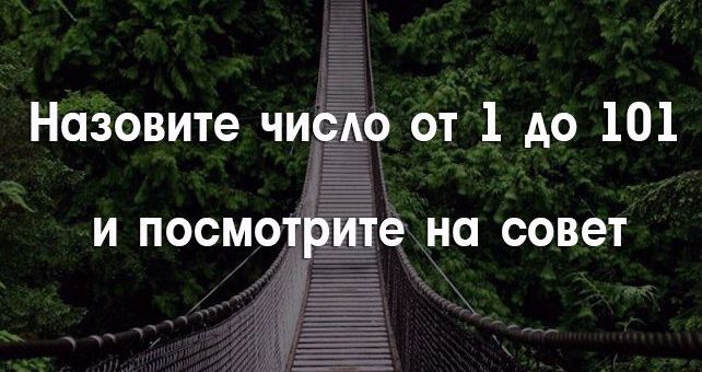 Назовите число от 1 до 101 и посмотрите на совет на день