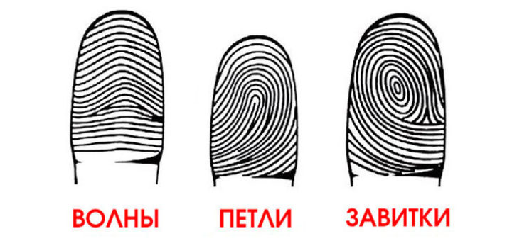 Посмотри на свои руки: а вдруг ты гений?