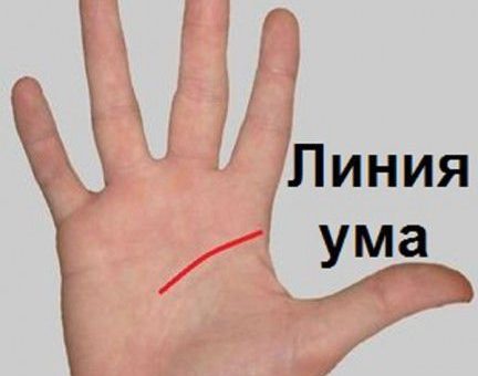 Гадание по линии ума