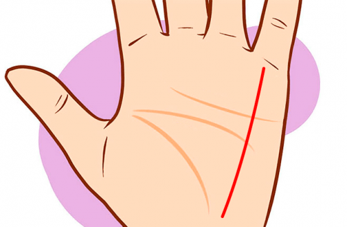 Значение линии здоровья на руке