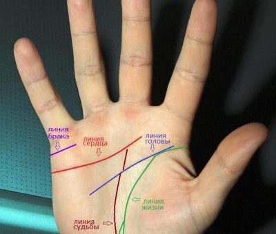 Линия брака на руке и ее значение