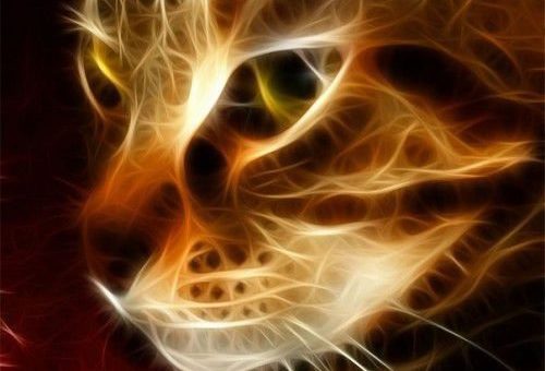 Приворотом на любовь по фото может воспользоваться, как парень, так и девушка