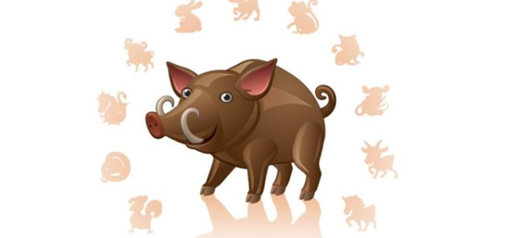 Узнайте 2019 год какого животного по гороскопу и его символ