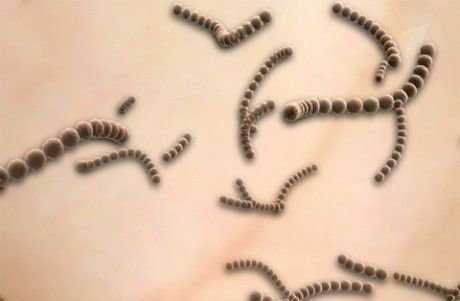 Несколько действенных заговоров, лечащих от рожи