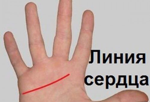 Что можно узнать по линии Сердца