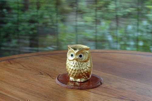 Талисман сова: тайное значение