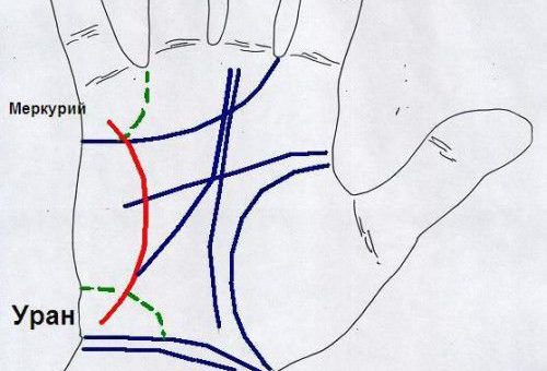 Что означает интуитивная линия на ладони