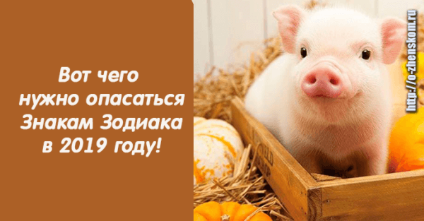 Вот чего нужно опасаться Знакам Зодиака в 2019 году!