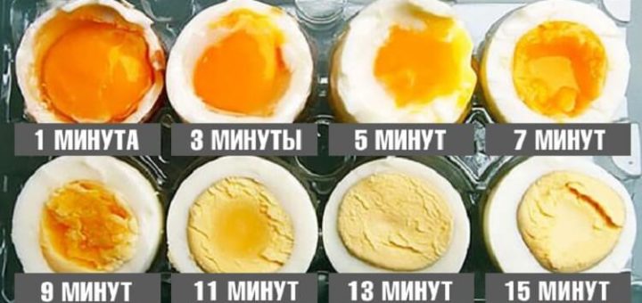 Варим яйца по науке: идеальная формула от шеф-повара