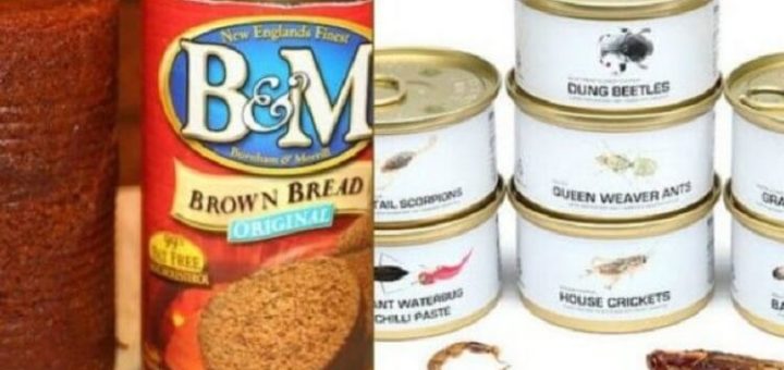 ПРОИЗВОДИТЕЛИ, ВЫ САМИ ЭТО ЕЛИ? ДИКОВИННЫЕ КОНСЕРВЫ, ЧТО ОЦЕНЯТ ЛИШЬ ГУРМАНЫ