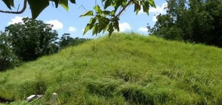 10 удивительных домов, которые очень хорошо скрыты от чужих глаз