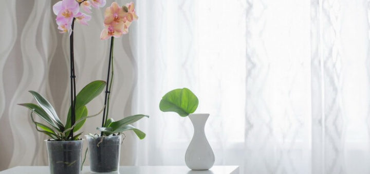 Как постирать тюль так, чтобы он сверкал белизной, словно новый