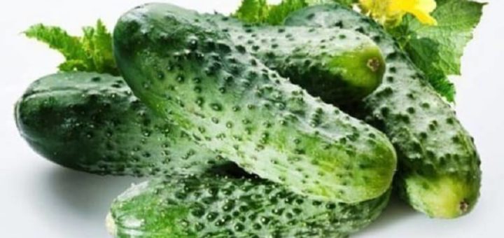 13 свойств огурца о которых вы даже не подозревали.