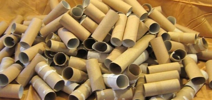 Не выбрасывайте рулоны туалетной бумаги. Вот 11 способов их использовать