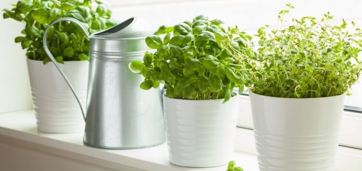 Бабушкины лайфхаки: как отмыть белый подоконник, чтобы он сверкал, как новенький