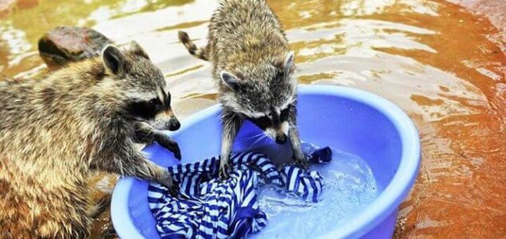 Разговор начистоту: как часто нужно стирать, мыться и мыть голову?