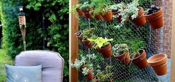 20 идей, которые помогут выгодно выделить свой участок от соседнего без лишних затрат