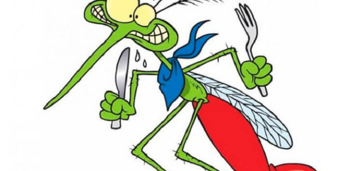 8 запахов, которые заставят комара отказаться от Вашей крови