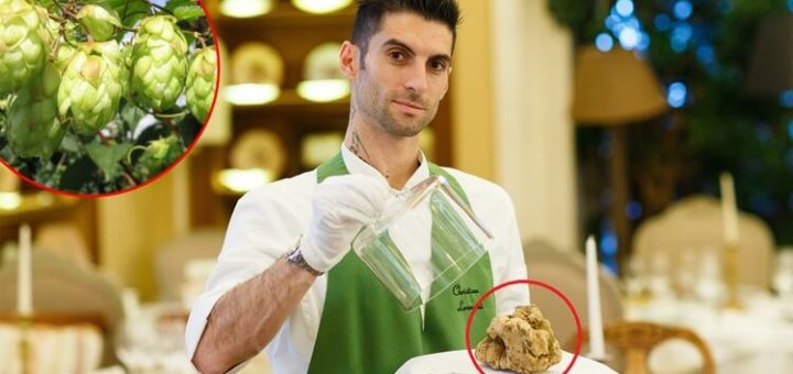 Наиболее дорогие продукты в мире