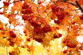 Воздвижение в 2018 году: какого числа, приметы, заговоры, обычаи