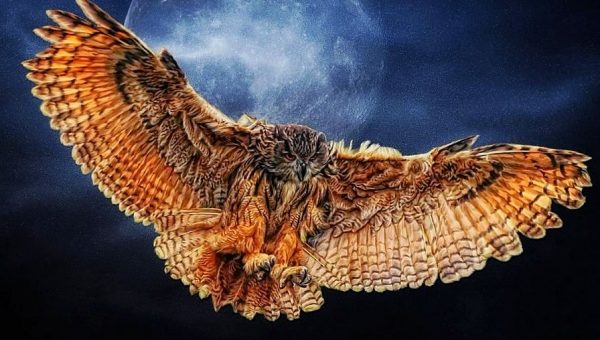 Тотемное животное: зверь души человека