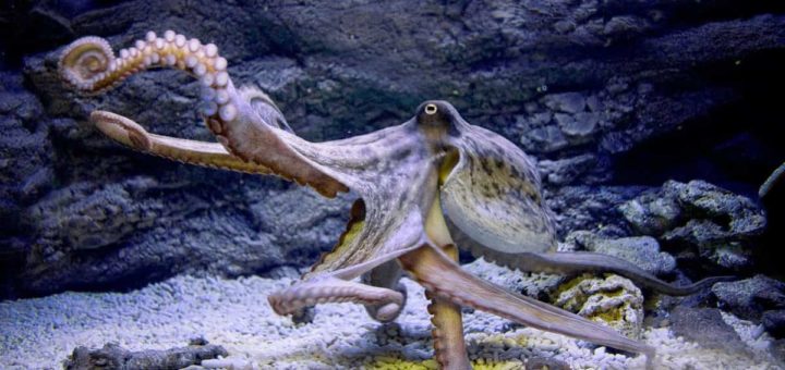 29 лунный день: характеристика двадцать девятых лунных суток