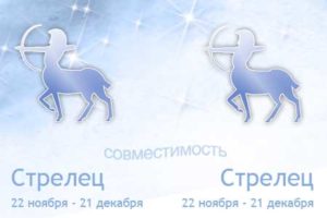 Описание совместимости между Стрельцом и Стрельцом