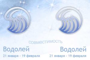 Обзор совместимости между двумя Водолеями в паре