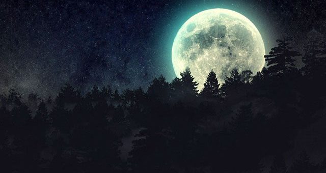 Лунный календарь на август 2019 года: фазы луны и благоприятные дни