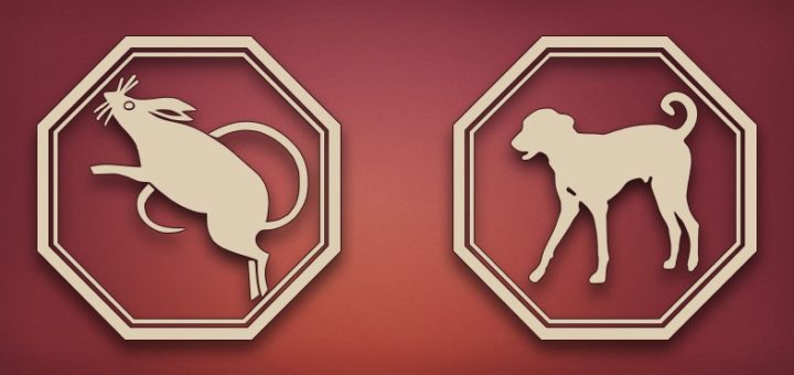 Характеристика любовной совместимости Собаки и Крысы