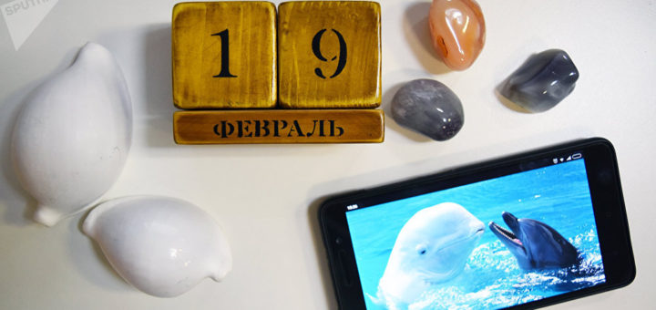 Праздники 19 февраля 2019 года