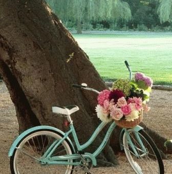 К чему снится ехать на велосипеде?