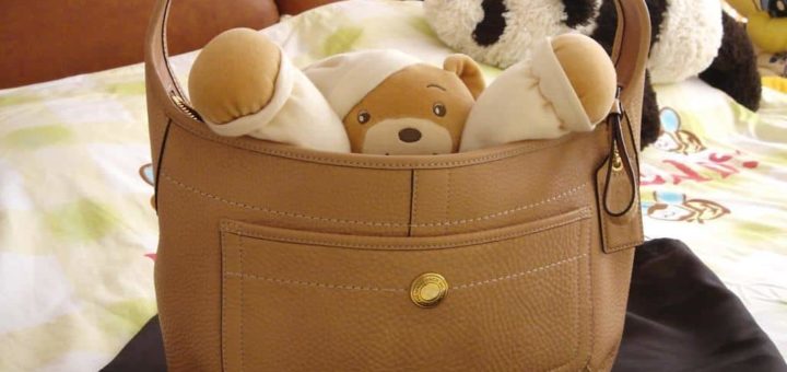 К чему снится потерять сумку во сне по сонникам и фактическим значениям