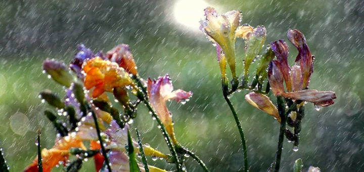 К чему снится дождь по значениям сонников и известным толкованиям