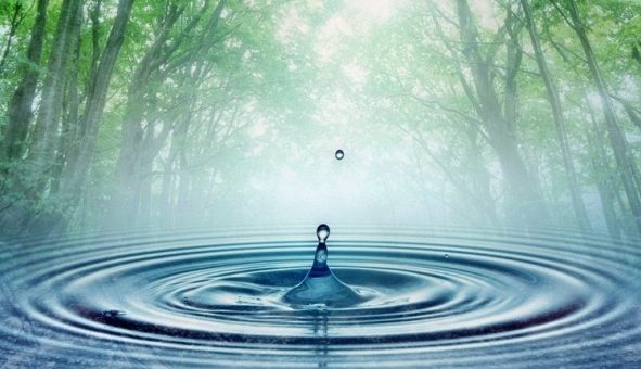 К чему снится чистая, прозрачная вода по сонникам Миллера, Цветкова