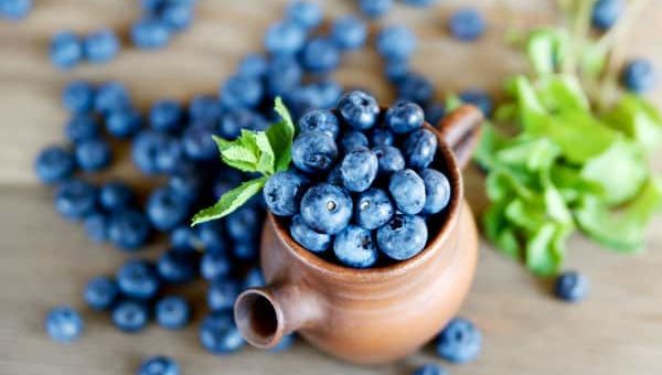 К чему снится черника по сонникам Миллера, Прозорова, Мужскому соннику