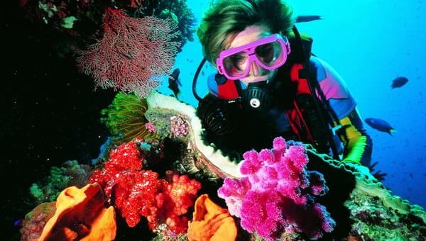 К чему снится, что вы плавали под водой, по сонникам Странника, Лоффа