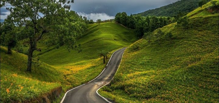 К чему снится дорога по сонникам Миллера, Ванги, Эзопа