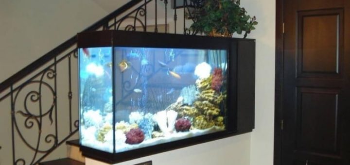 К чему снится аквариум с рыбками по сонникам Лонго, Фрейда, Ванги, Миллера