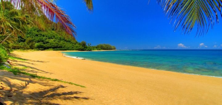 К чему снится пляж по сонникам Фрейда, Миллера, Екатерины