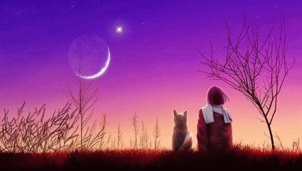 Ритуалы на новолуние - на богатство, любовь и исполнение желаний