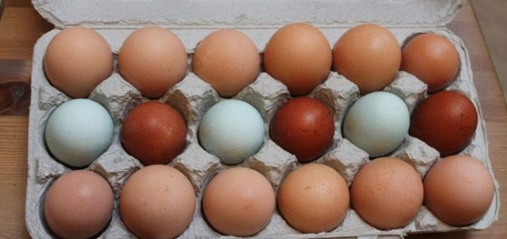 Лунки для посева: морковь, лук, редиска взойдут через неделю! Для быстрой разметки грядок