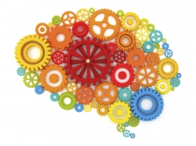 Как сохранить мозг активным и здоровым