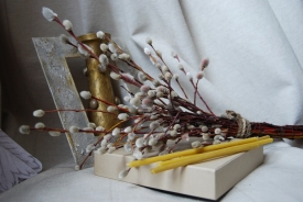 Верба: целебные свойства, как сделать оберег