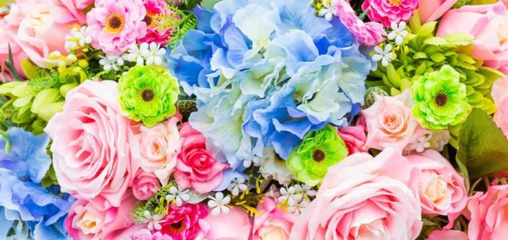 К чему снятся цветы по сонникам: Миллера, Ванги