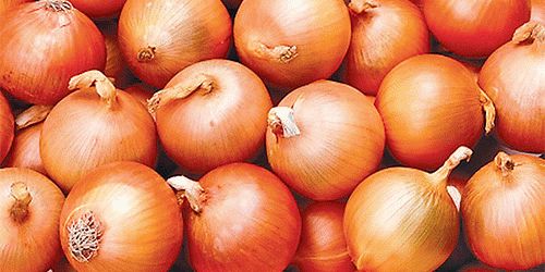 К чему снится репчатый лук?