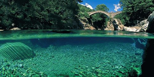 К чему снится чистая вода?