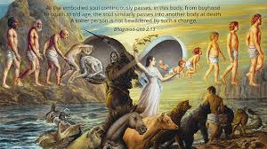 К чему снится смерть по сонникам Миллера, Ванги, Лоффа, Нострадамуса