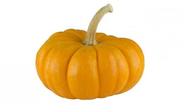 К чему снится тыква по сонникам Миллера, Лонго, кулинарному