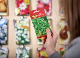 Что посадить в июле